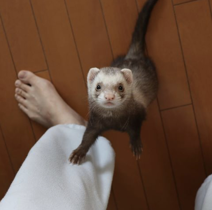 Все будет хорошо