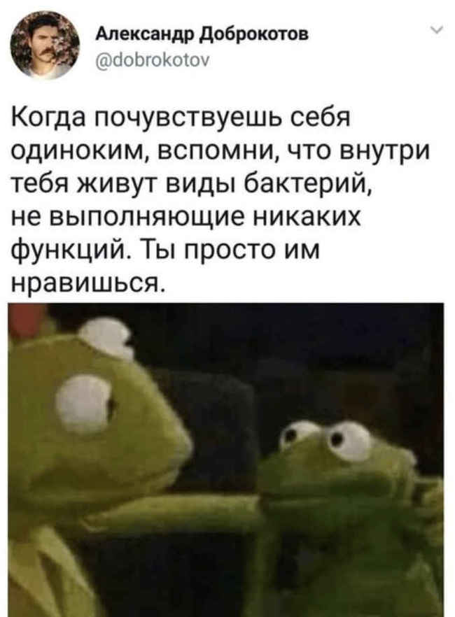   -  , ,   , 