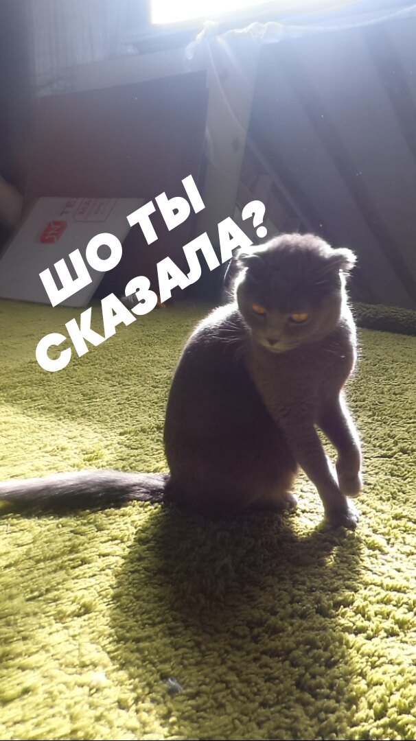 Я нехочу ничего писать