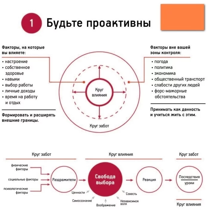 Кови - Моё, Стивен кови, Книги, Длиннопост