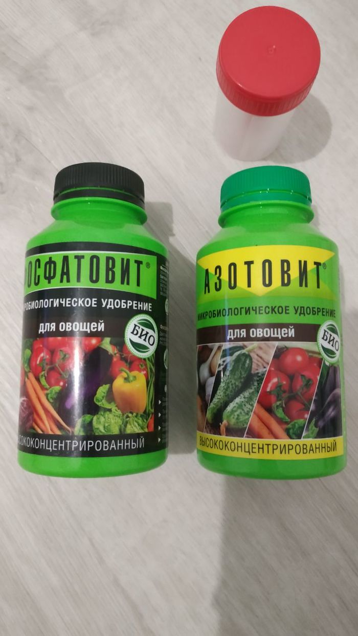 Сколько люменов нужно для клубники. 1586279780147241792. Сколько люменов нужно для клубники фото. Сколько люменов нужно для клубники-1586279780147241792. картинка Сколько люменов нужно для клубники. картинка 1586279780147241792. Озвученная технология подходит как для промышленных масштабов, так и для выращивания клубники в домашних условиях (отличие только в размерах помещения и количестве урожая).