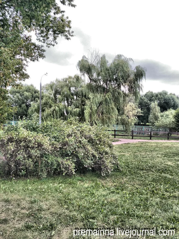 Through the historical backyards of Kolomenskoye Park - My, Kolomenskoye Park, Wooden architecture, Museum-Reserve, История России, Longpost, Reserves and sanctuaries