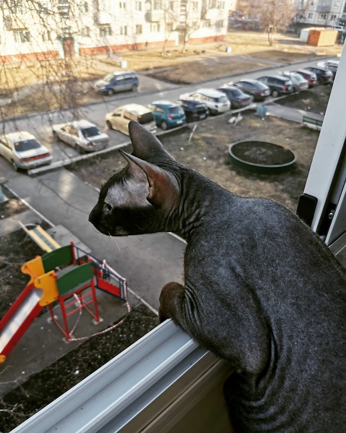 ������������