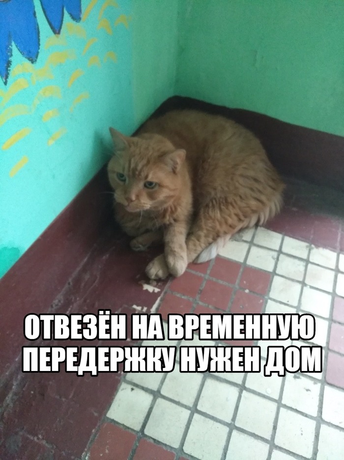     ,  ,   ,  