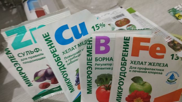Сколько люменов нужно для клубники. 1586334678192326215. Сколько люменов нужно для клубники фото. Сколько люменов нужно для клубники-1586334678192326215. картинка Сколько люменов нужно для клубники. картинка 1586334678192326215. Озвученная технология подходит как для промышленных масштабов, так и для выращивания клубники в домашних условиях (отличие только в размерах помещения и количестве урожая).
