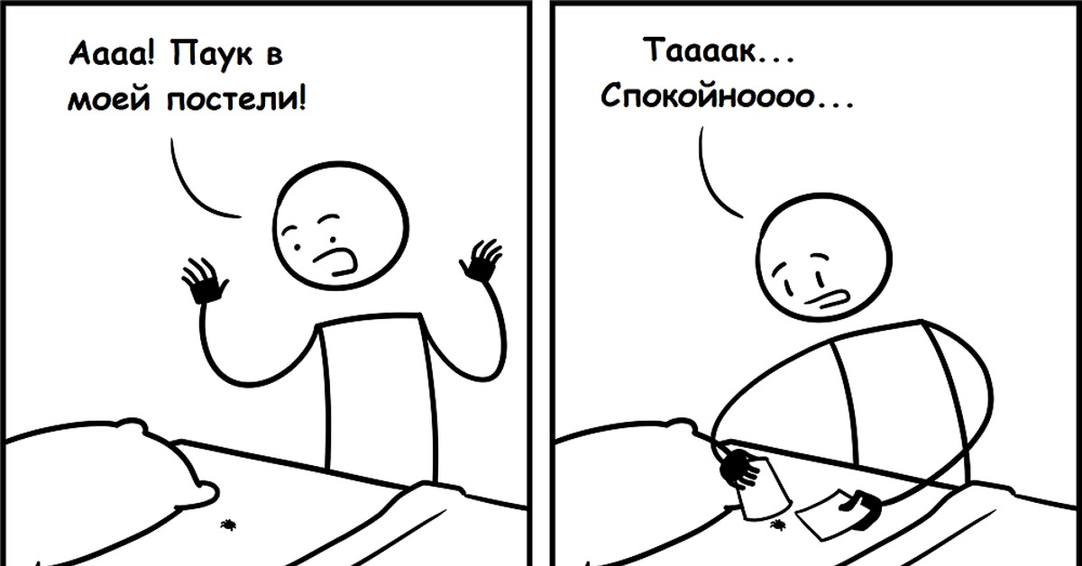 Про паукана... | Пикабу