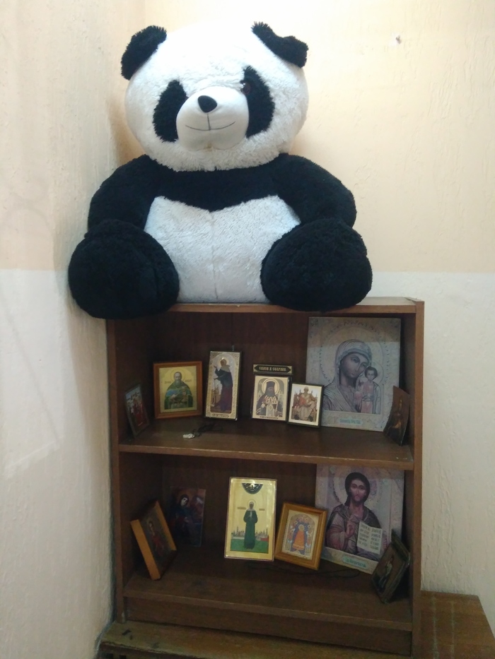 �������������������