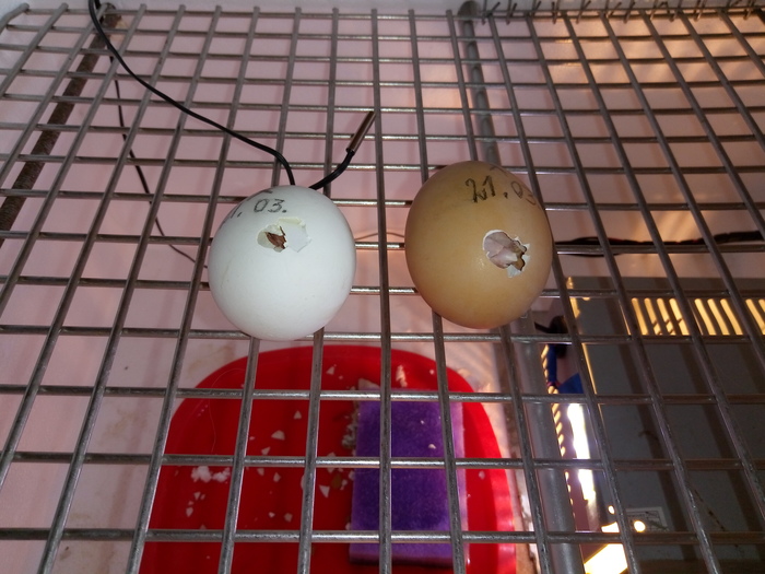 Разница в 9 часов ;-) | Пикабу