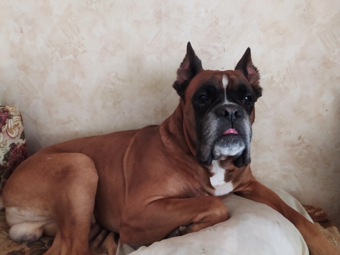 ���� ��������! ��� ������, �������