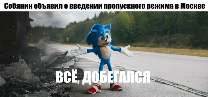 Sonic in quarantine - Images, Picture with text, Sonic the hedgehog