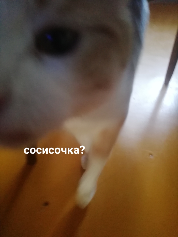 ��� ����� �����������