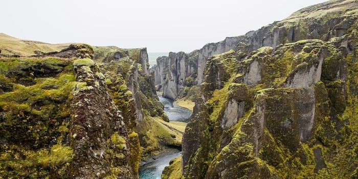 Игра "найди кота" Природа, Фотография, Игры, Photoshop, Кот, Лес, Длиннопост