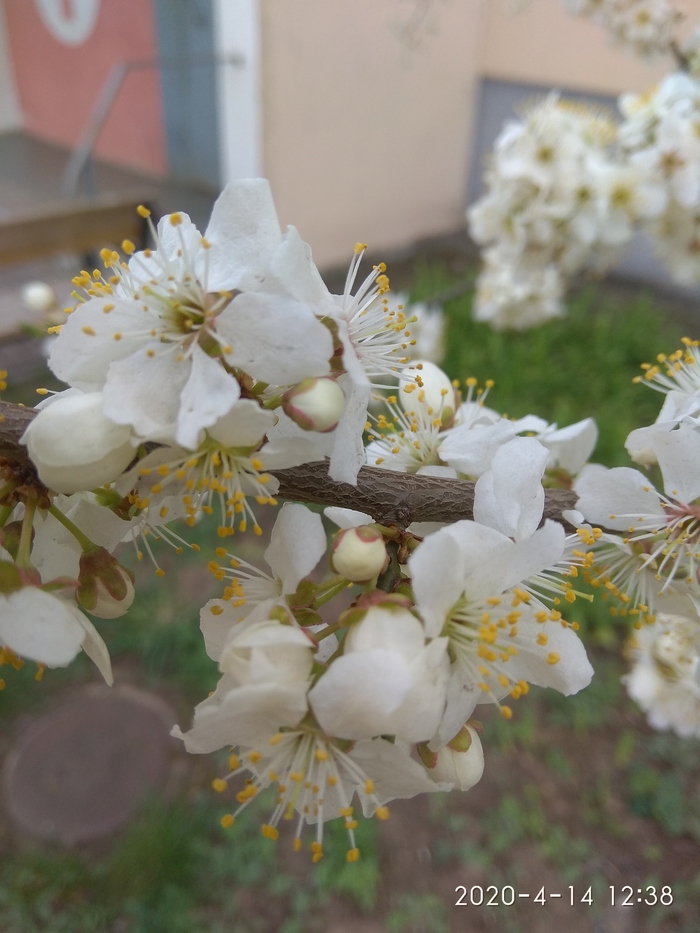 Мысли о ЖИЗНИ