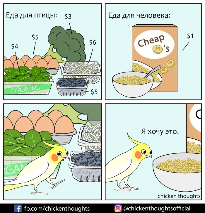 Always like this - Comics, Translation, A parrot, Food, Chicken thoughts