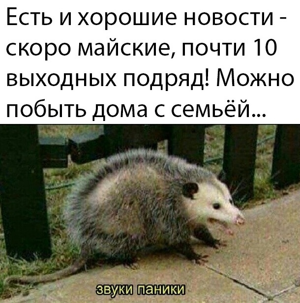     ,   , , 