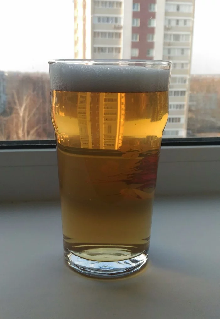 We brew Corona Extra beer (clone) at home. Clarifying beer with gelatin. Detailed recipe with photos - My, Longpost, Beer, Brewing, Craft beer, Brewery, Beer