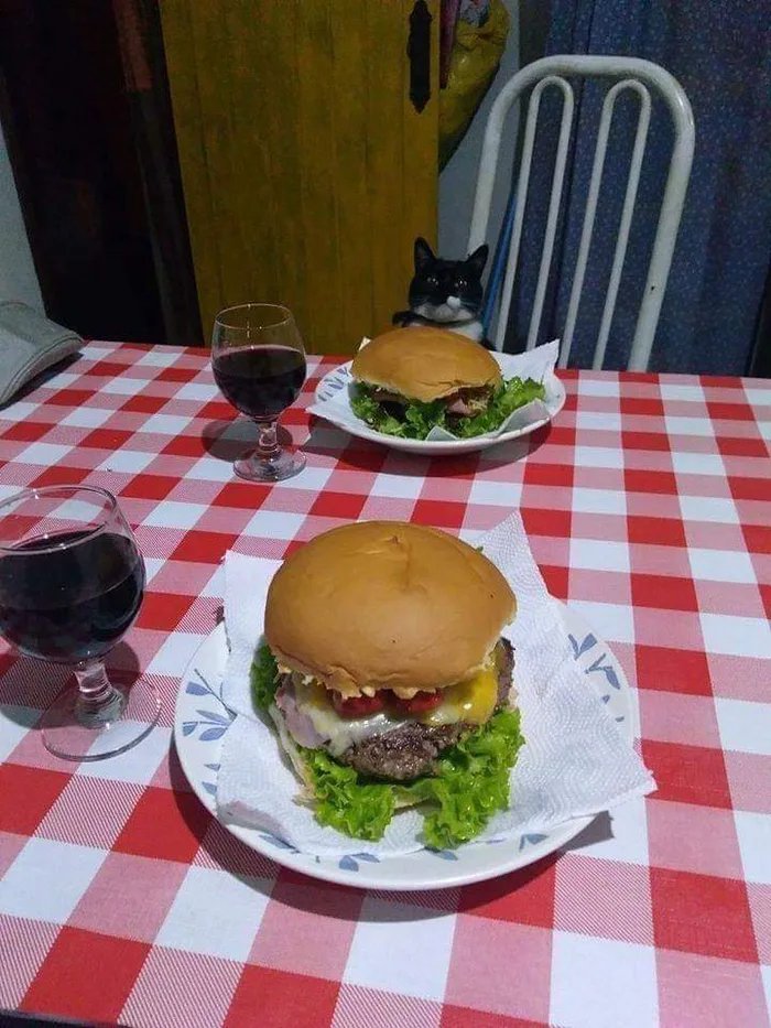 Romance - cat, Burger, Dinner, Wine