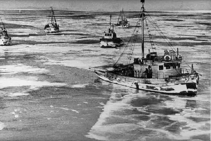 Tragedy of the Bering Sea expedition 1965 - Catastrophe, the USSR, Ship, Story, Trawler, Longpost, Fishing vessel