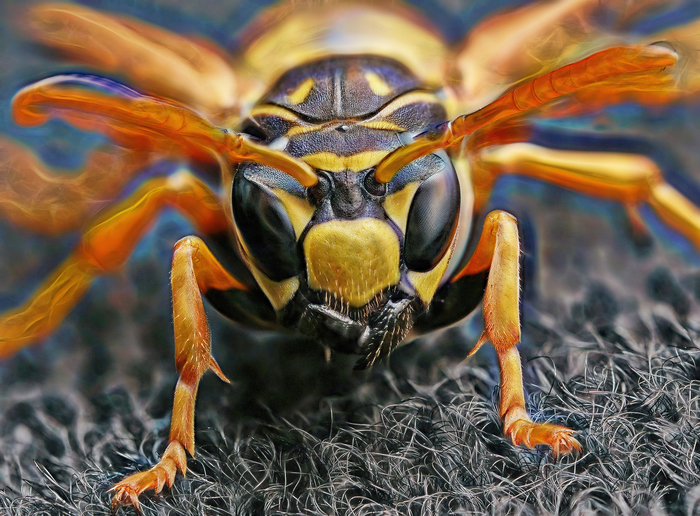 "OC"-великий и ужасный