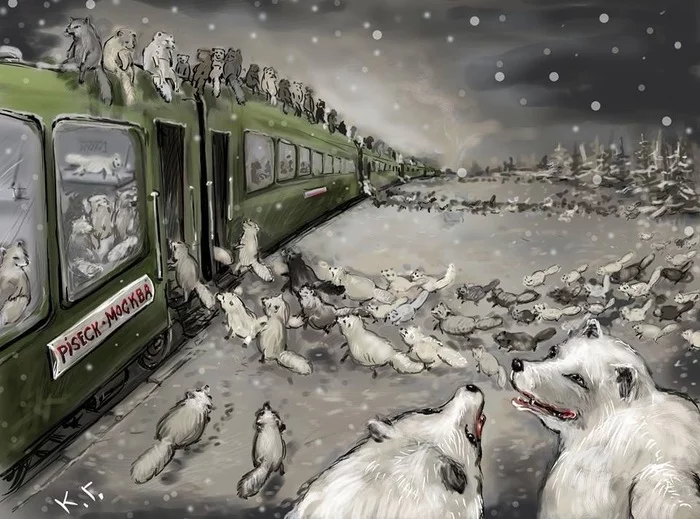 Piseck-Moscow - A crisis, Art, Arctic fox, A train