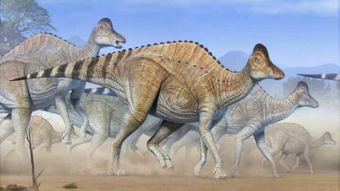 Первое обнаружение протеинов и ДНК динозавров ДНК, Парк Юрского Периода, Динозавры, Наука, Длиннопост