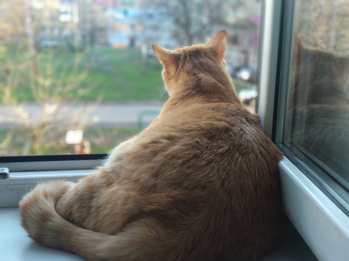 ����� ����� �� ������, ���� ������ ����...