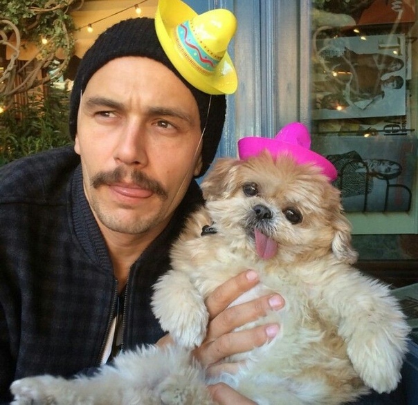 Home mood - James Franco, The photo, Longpost, Dog