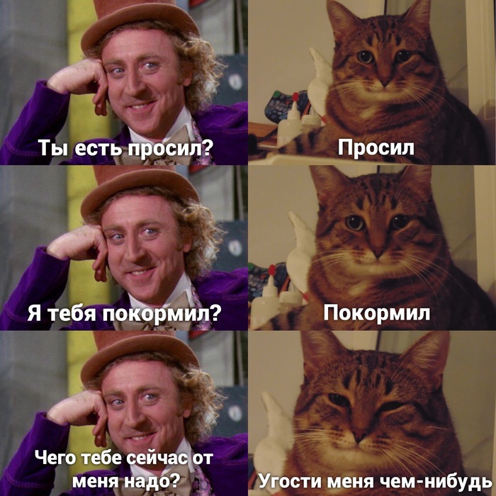 Кошачья логика