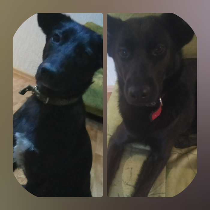 ����� ����� ����� ����������