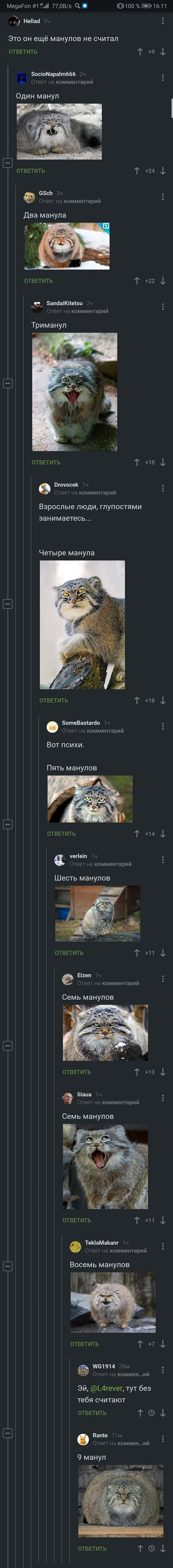 Что тут происходит? - Манул, Скриншот, Длиннопост, Считалка, Комментарии, Комментарии на Пикабу, Малые кошки, Семейство кошачьих