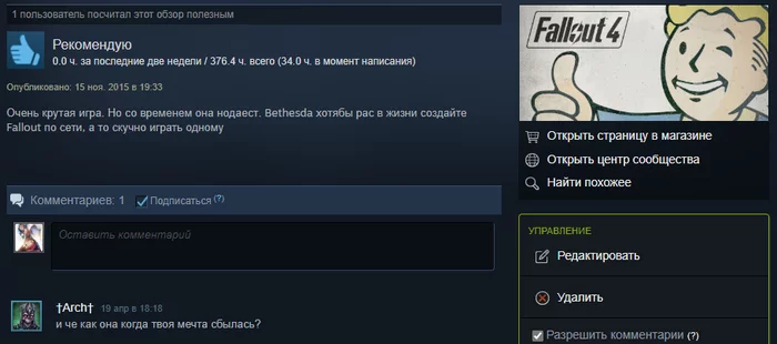 I regret that I thought about this - My, Steam Reviews, Fallout 4, Steam