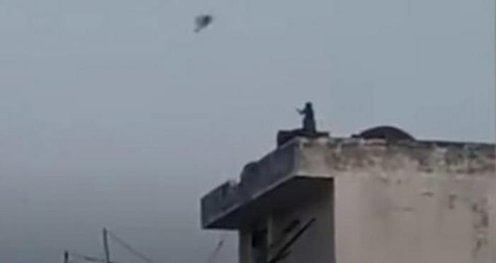 Monkey spotted flying a kite in India - Animals, Quarantine, India, Interesting