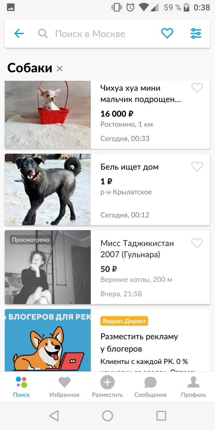 Looked at the puppies on avito - Avito, Prostitution