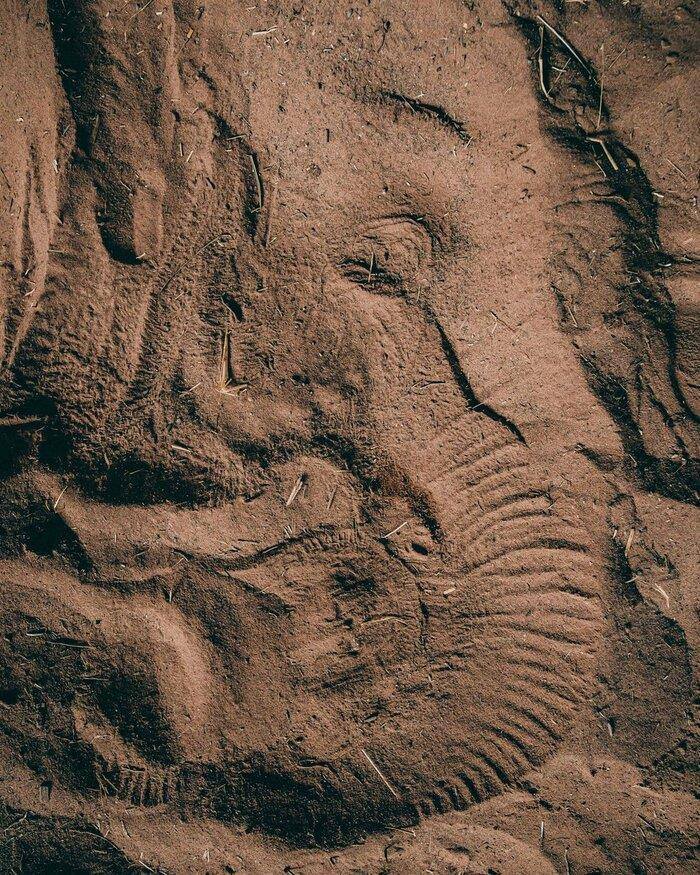 Elephant print on the sand after a night's sleep - The photo, Elephants, Planet Earth