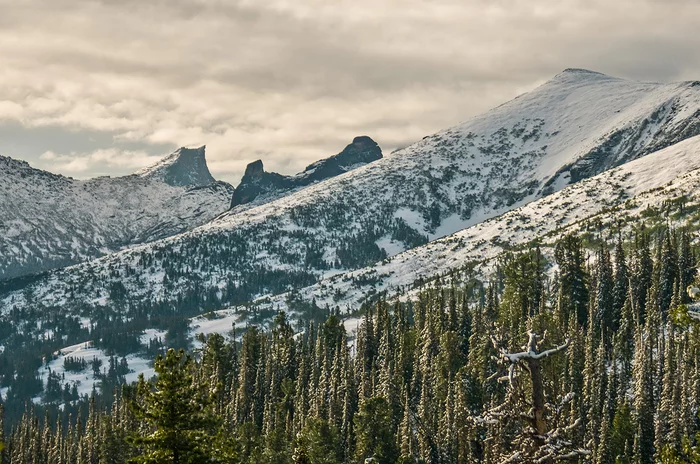 Is it possible to go to Ergaki in June? - My, Ergaki, Travels, Holidays in Russia, Wild tourism, The photo, Flowers, Leisure, Longpost, Krasnoyarsk region