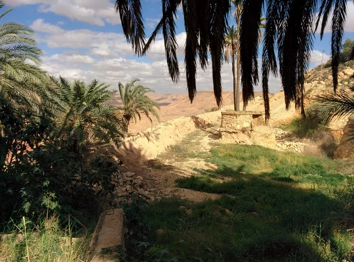 Libya... - My, Libya, The photo, Longpost