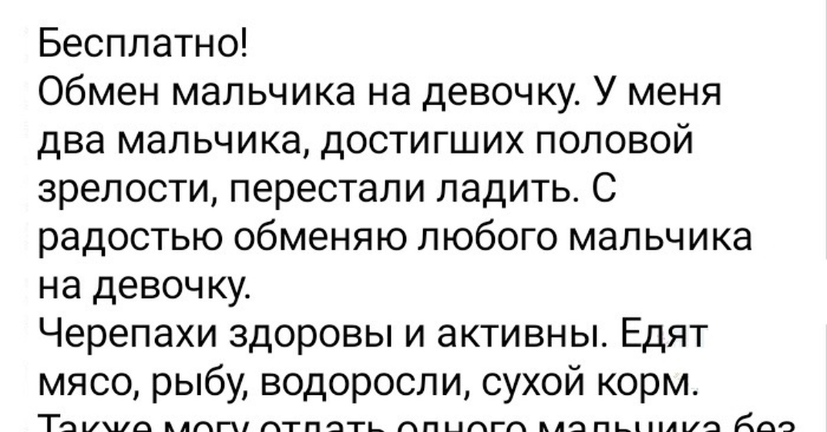 Обмен текстом. Коксвиль обмен парнями. Черепахи достигли отдам мальчика обменяю на девочку. Коксвиль. Обмен парнями. Продолжение. Телеграм мальчики обмен обмен.