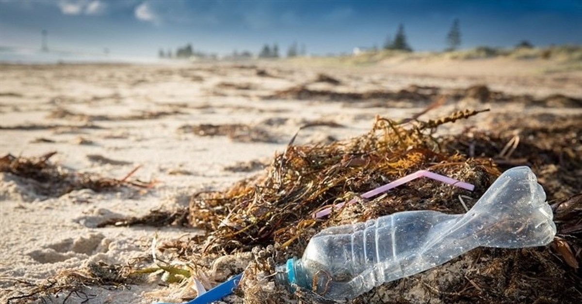 Вред окружающей среде а также. Пластик в окружающей среде. Пластик экология.