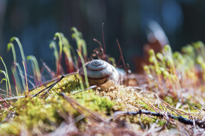 Весна в Поволжье