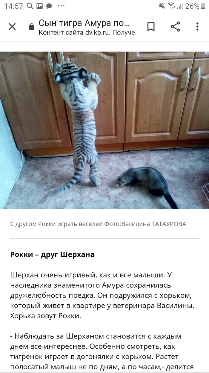 Что случилось с козлом тимуром. Смотреть фото Что случилось с козлом тимуром. Смотреть картинку Что случилось с козлом тимуром. Картинка про Что случилось с козлом тимуром. Фото Что случилось с козлом тимуром