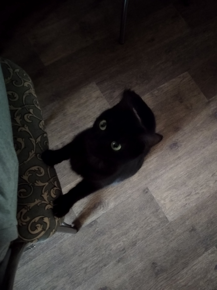 ������ �����