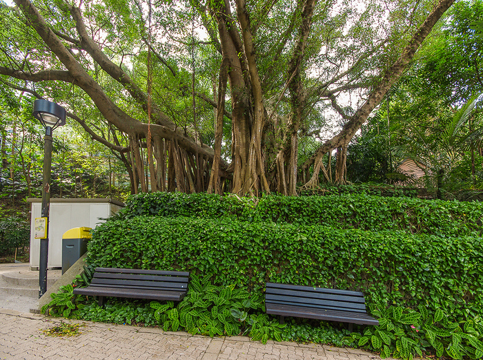 Чудный парк в Гонконге Гонконг, Путешествия, Люди, Фотография, Длиннопост Чудный парк в Гонконге Гонконг, Путешествия, Люди, Фотография, Длиннопост