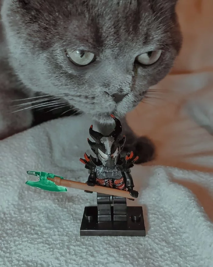 Khajiit attack - My, Lego, The Elder Scrolls V: Skyrim, cat, Khajiit, Games, Longpost