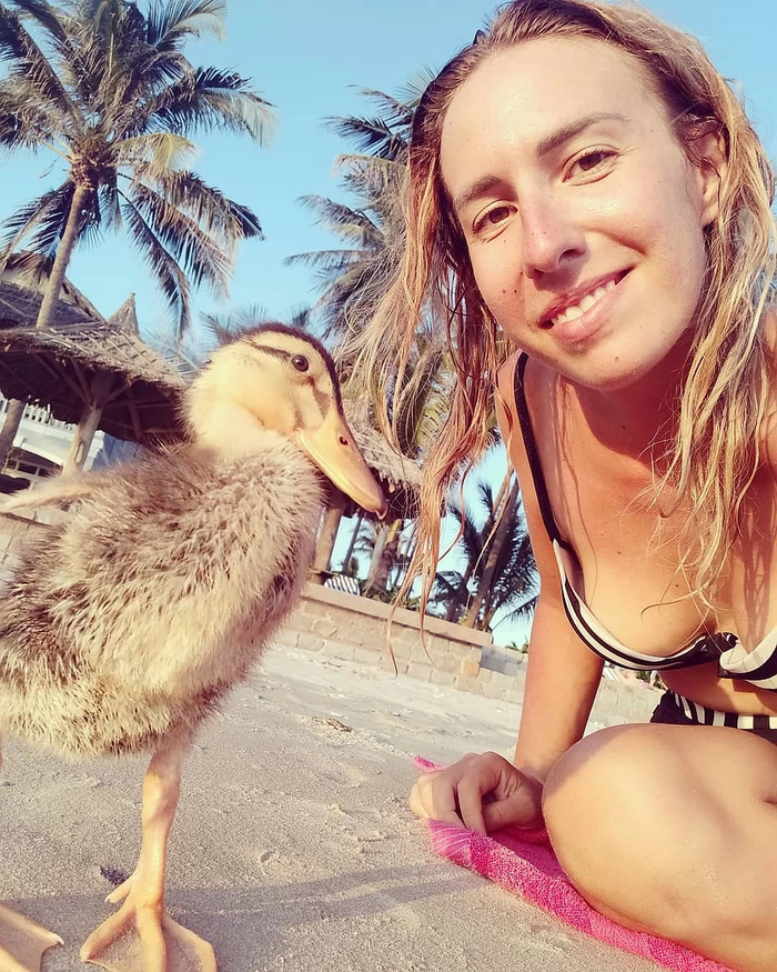 ��������, ����������� � ������ �� ��������, ��������� � �����