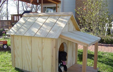 Disinfecting a doghouse - how to do it correctly? - My, Dog, Dog lovers, Puppies, Aviary, Booth, Kennel, Cleaning, Disinfection
