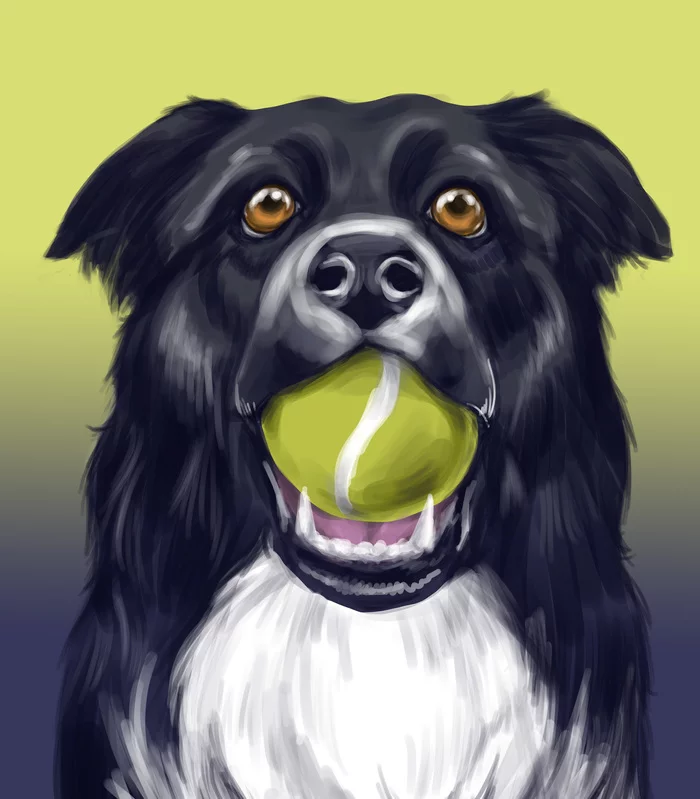 Dog - My, Digital drawing, Graphics, Dog, Sketch, Digital