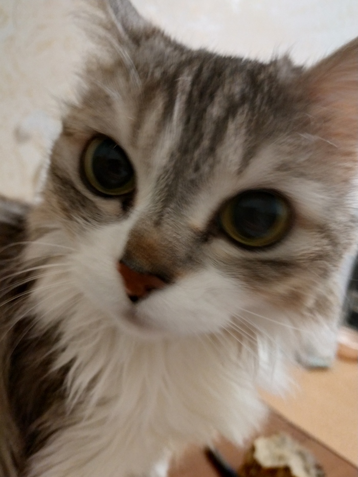 ���, ���, ����� ����!!!