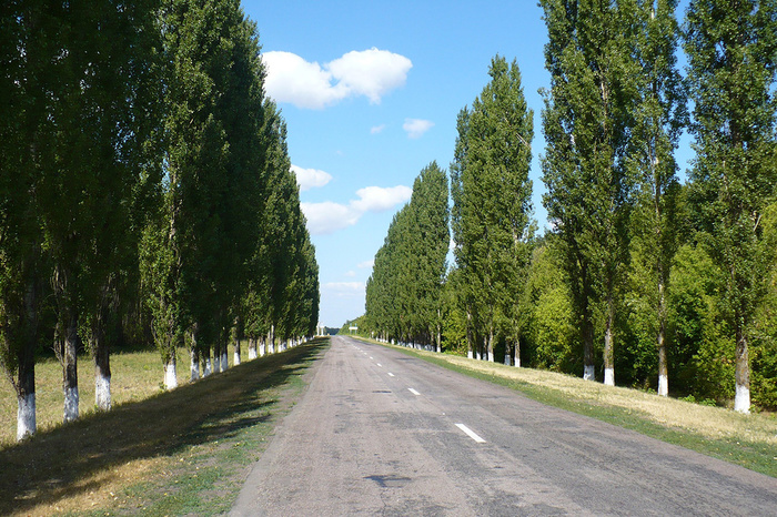 ����� ������. "2 ���" (�.1)