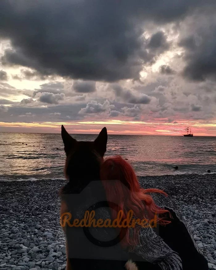 Eh, memories - My, Dog, German Shepherd, Sea, Travels, Sochi