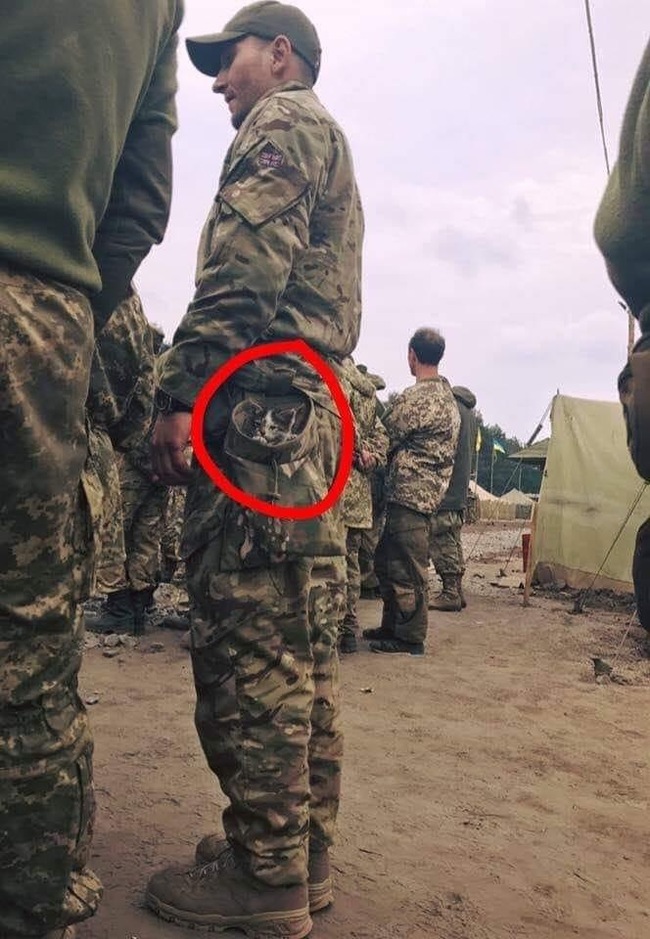 Secret tactical weapon - cat, Weapon